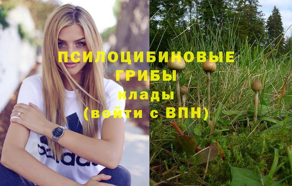 марки nbome Баксан